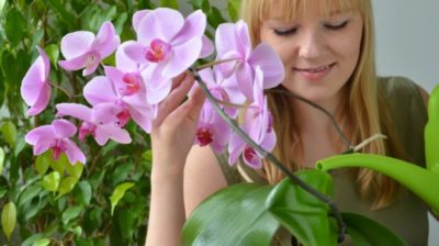 как покрасить орхидею в домашних условиях
