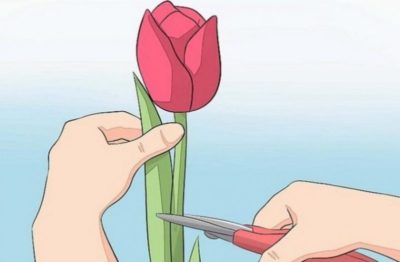 как сделать клумбу для тюльпанов