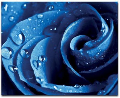 как сделать синие розы