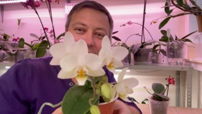как ухаживать за орхидеей зимой