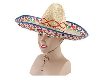 цветок мексиканская шляпа